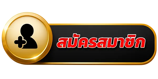 สมัครสมาชิก Playfun159